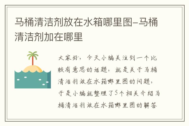 马桶清洁剂放在水箱哪里图-马桶清洁剂加在哪里