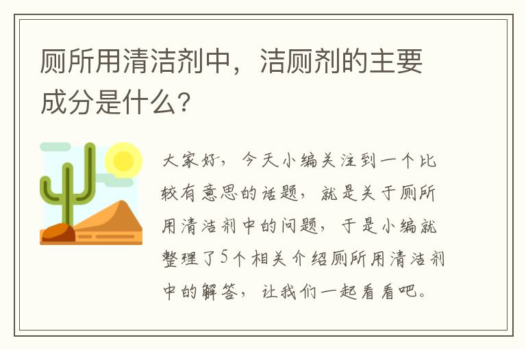 厕所用清洁剂中，洁厕剂的主要成分是什么?