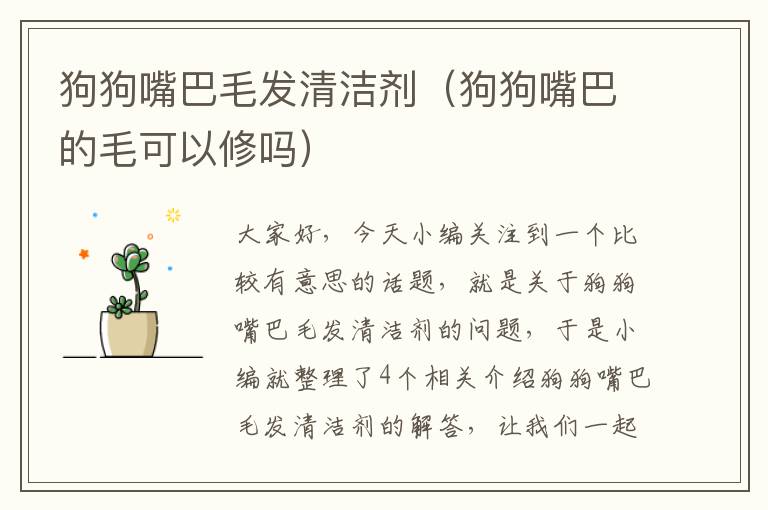 狗狗嘴巴毛发清洁剂（狗狗嘴巴的毛可以修吗）