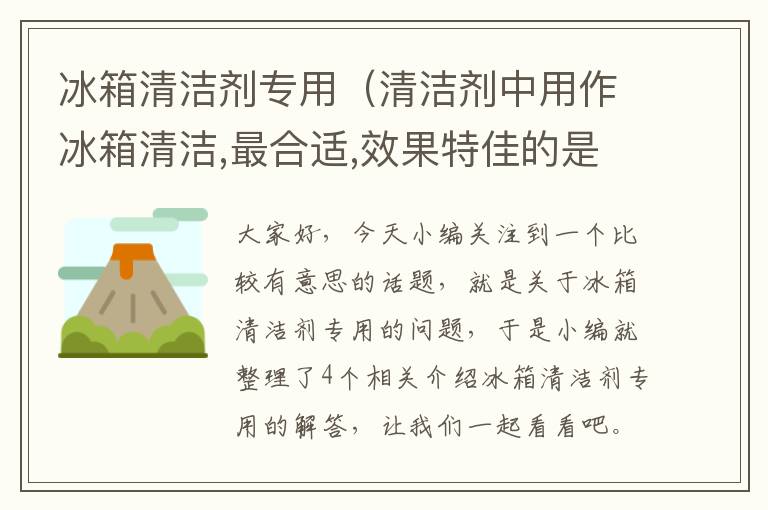 冰箱清洁剂专用（清洁剂中用作冰箱清洁,最合适,效果特佳的是）