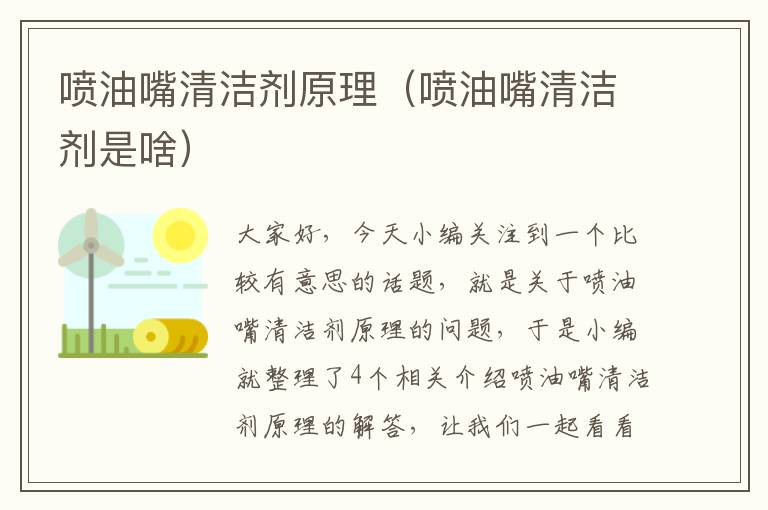 喷油嘴清洁剂原理（喷油嘴清洁剂是啥）