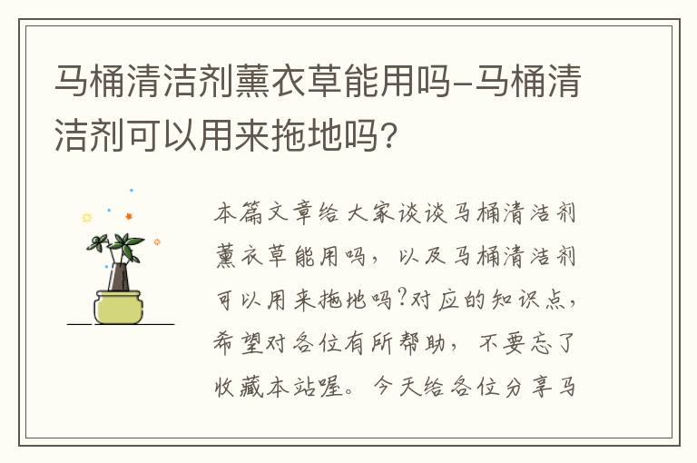 马桶清洁剂薰衣草能用吗-马桶清洁剂可以用来拖地吗?