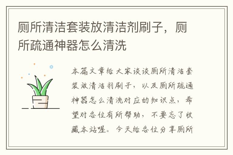 厕所清洁套装放清洁剂刷子，厕所疏通神器怎么清洗