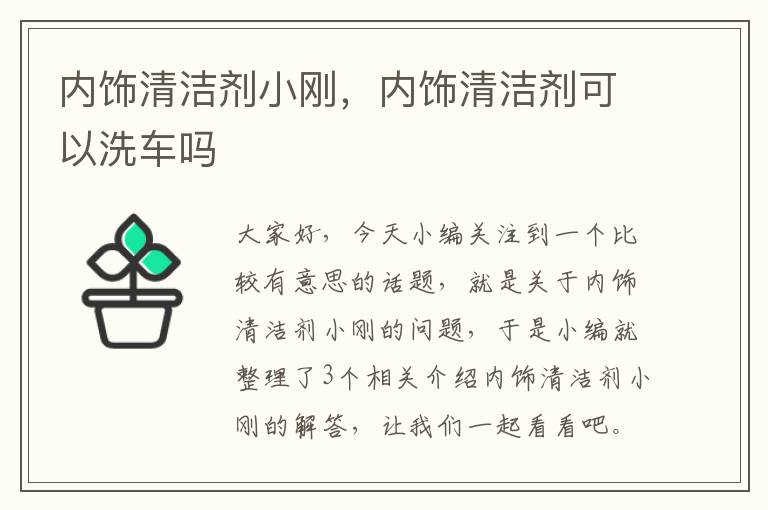 内饰清洁剂小刚，内饰清洁剂可以洗车吗