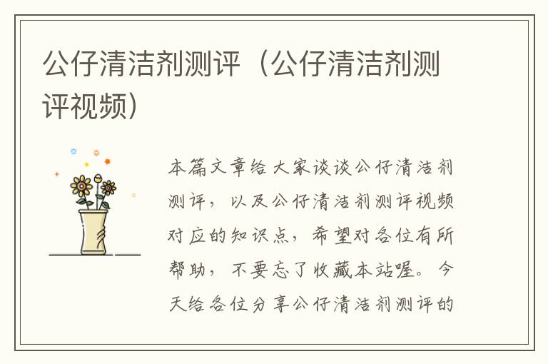 公仔清洁剂测评（公仔清洁剂测评视频）