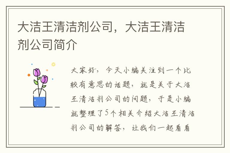 大洁王清洁剂公司，大洁王清洁剂公司简介