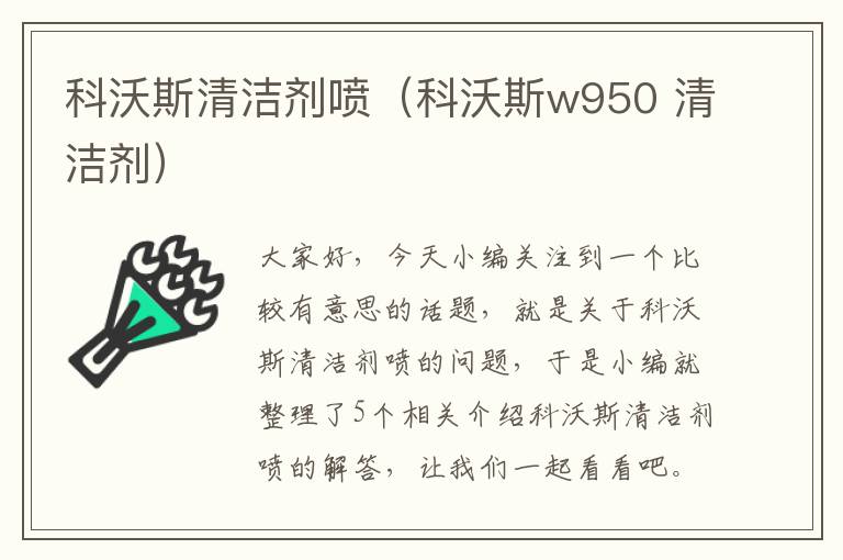 科沃斯清洁剂喷（科沃斯w950 清洁剂）